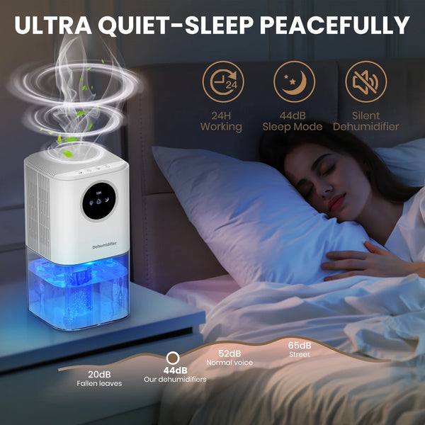 Whisper-Quiet Cozy Dehumidifier